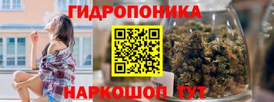 прущие крисы Обь
