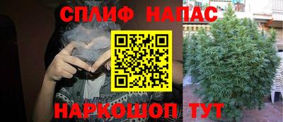 молекула духа Нягань