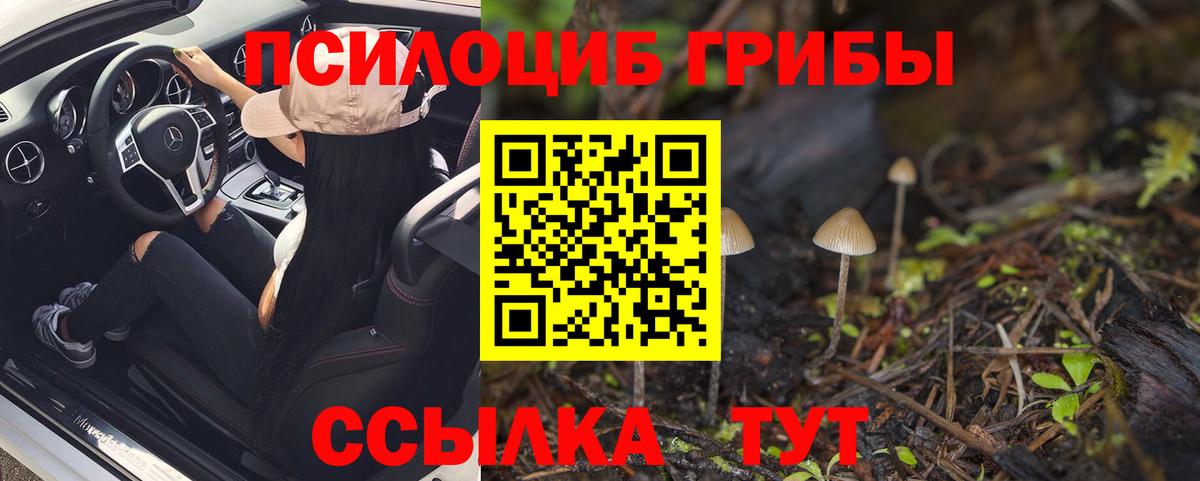 Барнаул  Галлюциногенные грибы MAGIC MUSHROOMS  что такое наркотик  Галлюциногенные грибы мицелий  Вход с VPN 
